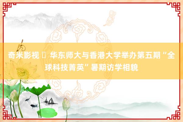 奇米影视 ​华东师大与香港大学举办第五期“全球科技菁英”暑期访学相貌