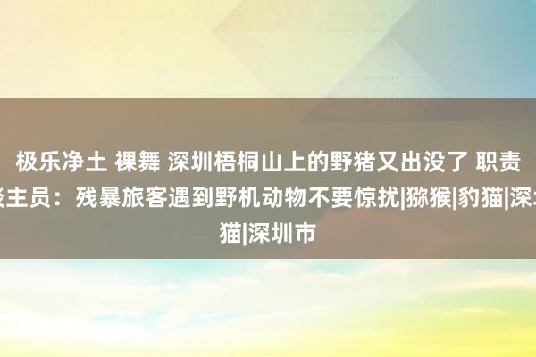 极乐净土 裸舞 深圳梧桐山上的野猪又出没了 职责主谈主员：残暴旅客遇到野机动物不要惊扰|猕猴|豹猫|深圳市