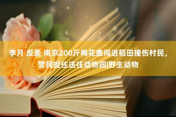 李月 反差 南京200斤梅花鹿闯进稻田撞伤村民，警民捉住送往动物园|野生动物