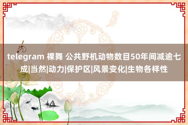 telegram 裸舞 公共野机动物数目50年间减逾七成|当然|动力|保护区|风景变化|生物各样性