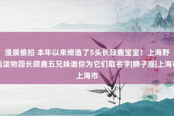 漫展偷拍 本年以来缔造了5头长颈鹿宝宝！上海野活泼物园长颈鹿五兄妹邀你为它们取名字|狮子座|上海市