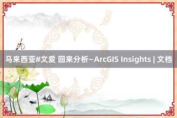 马来西亚#文爱 回来分析—ArcGIS Insights | 文档