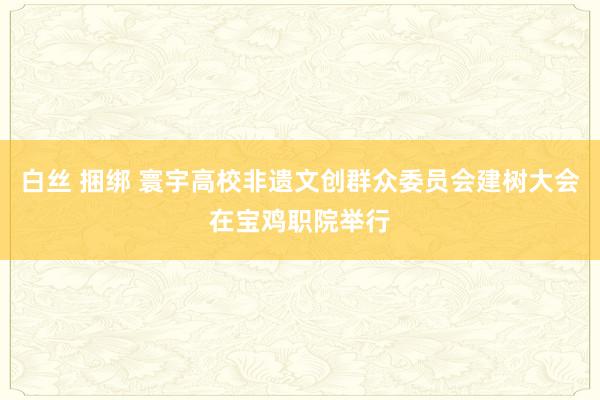 白丝 捆绑 寰宇高校非遗文创群众委员会建树大会在宝鸡职院举行