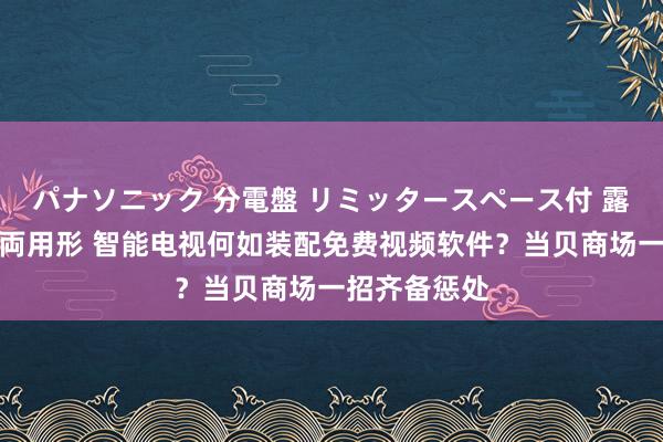 パナソニック 分電盤 リミッタースペース付 露出・半埋込両用形 智能电视何如装配免费视频软件？当贝商场一招齐备惩处