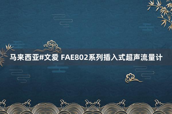 马来西亚#文爱 FAE802系列插入式超声流量计