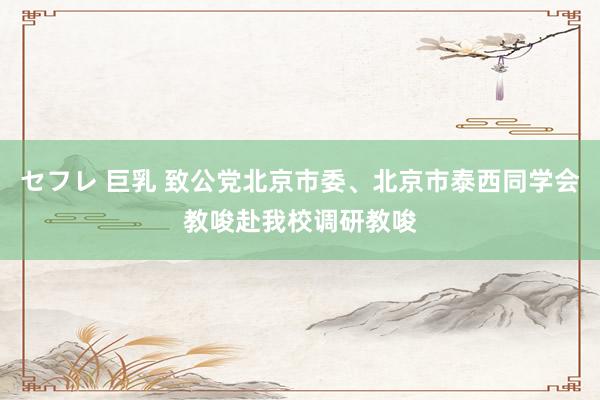 セフレ 巨乳 致公党北京市委、北京市泰西同学会教唆赴我校调研教唆