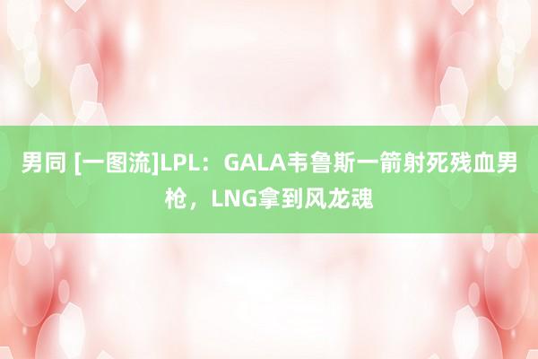 男同 [一图流]LPL：GALA韦鲁斯一箭射死残血男枪，LNG拿到风龙魂